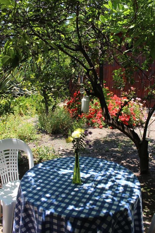 Alojamiento Rural Casa Quinta Peumayen Isla de Maipo Extérieur photo